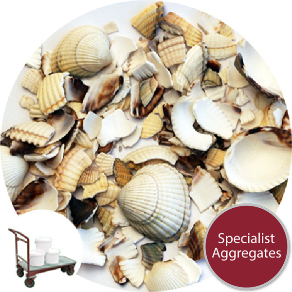 Barra Shell - Harling Repair - Click & Collect